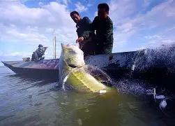 孫蔎?K+蘓q?姫U剕堑bE鳇齲|?F鈽?	~矎&繗銗(?vZ兖筗}睮?^Y?冇?-)的简单介绍